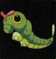 010chenipan.jpg