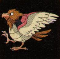 021piafabec.jpg