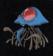 073tentacruel.jpg
